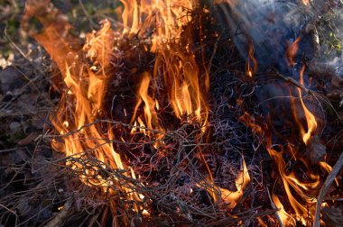 Şenlik ateşi closeup alll─▒n duman