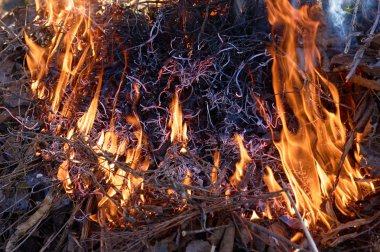 Şenlik ateşi closeup alll─▒n duman