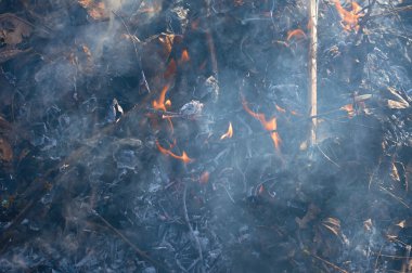 Şenlik ateşi closeup alll─▒n duman