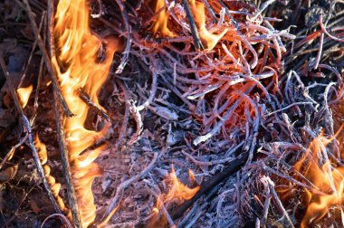 Şenlik ateşi closeup alll─▒n duman