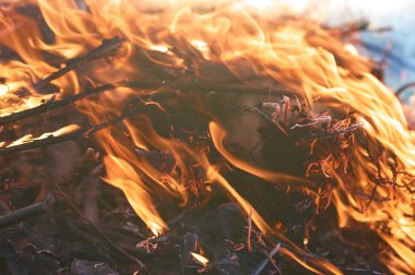 Şenlik ateşi closeup alll─▒n duman