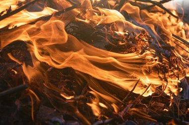 Şenlik ateşi closeup alll─▒n duman