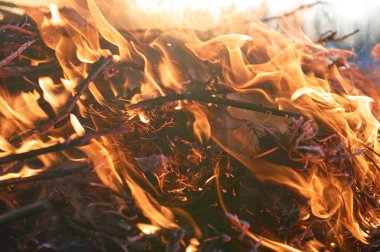 Şenlik ateşi closeup alll─▒n duman