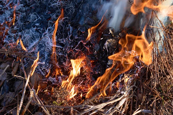 Bonfire närbild witth rök — Stockfoto