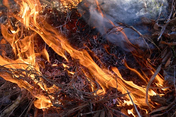 Şenlik ateşi closeup alll─▒n duman — Stok fotoğraf