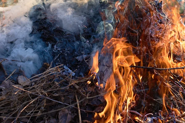 Şenlik ateşi closeup alll─▒n duman