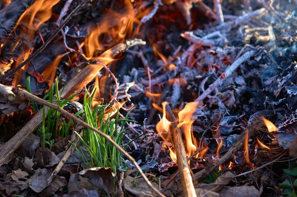 Lagerfeuer Nahaufnahme mit Rauch — Stockfoto