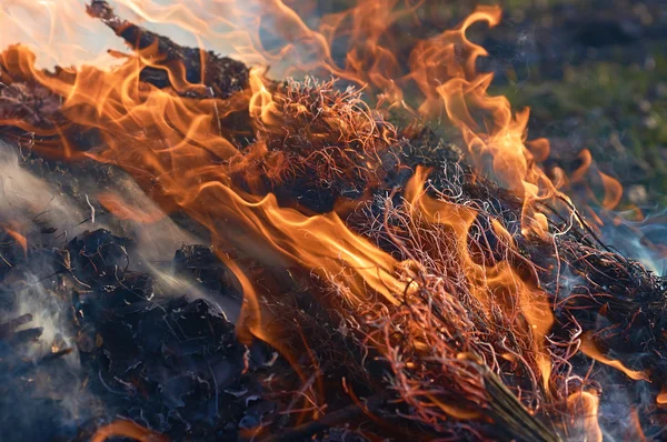 Bonfire closeup witth smoke — Stock Photo, Image