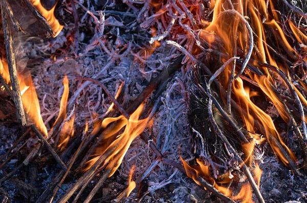 Bonfire närbild witth rök — Stockfoto