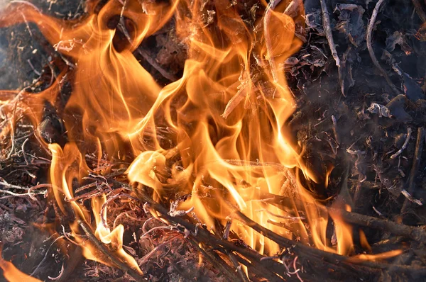 Şenlik ateşi closeup alll─▒n duman — Stok fotoğraf