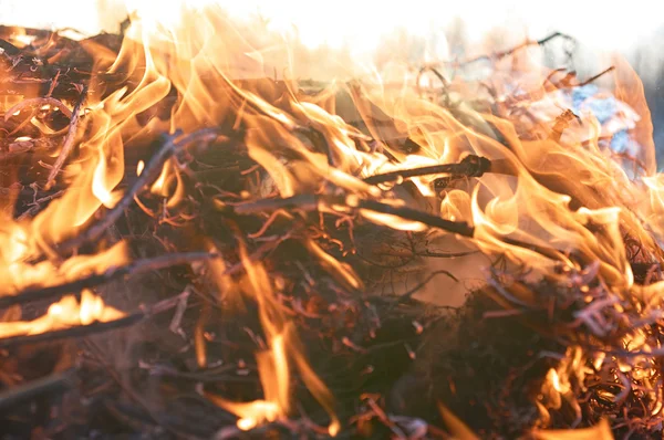 Bonfire closeup witth smoke — Stock Photo, Image