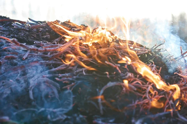 Bonfire närbild witth rök — Stockfoto