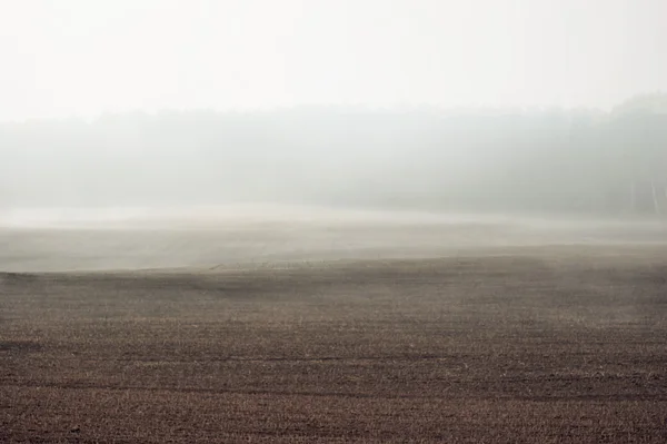 Sis 1 sürülmüş alana