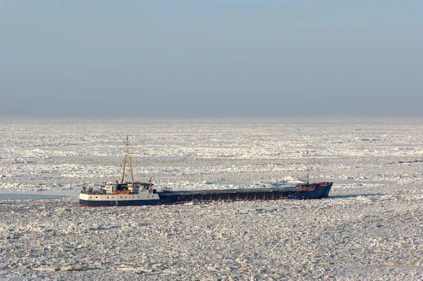 Deniz buzu gemi telli