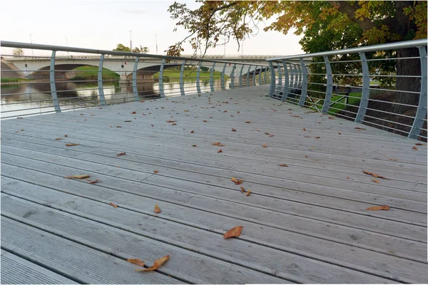 Düşen at kestaneleri ve dikenli kabukları sonbaharda ıslak ahşap bir güverteye saçılmış. Güverte nehrin üzerindeki bir köprüyü gösteriyor..