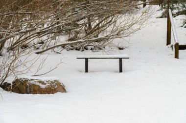 A quiet, minimalist vertical scene of a simple wooden bench surrounded by thick snow and bare winter bushes, conveying themes of solitude, cold, and peace.