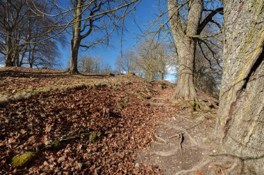 Düşük açılı tarihi bir taş kale ya da kale duvarı manzarası, çıplak yapraklar ve yapraklarla çevrili, derin mavi gökyüzüne karşı güçlü bir güneş patlaması ile vurgulanmış..