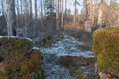 1. Dünya Savaşı askeri mezarlığı. Buz tutmuş beton haçları ve bir anıt heykeli olan bir kış ormanında Dishupi.