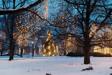 Büyük, parıldayan bir Noel ağacı ve süslü park ağaçları olan kış manzarası. Akşamları karlı şehir meydanı, mavi saat, şenlikli ışıklar....
