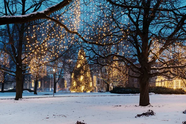 Büyük, parıldayan bir Noel ağacı ve süslü park ağaçları olan kış manzarası. Akşamları karlı şehir meydanı, mavi saat, şenlikli ışıklar....