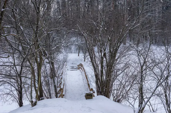 Деревянный мост зимой — стоковое фото