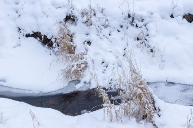 Kışın orman Nehri