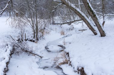 Kışın orman Nehri