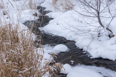 Kışın orman Nehri