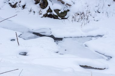 Kışın orman Nehri