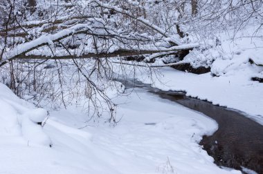 Kışın orman Nehri