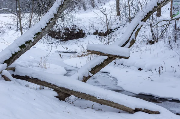 Río del bosque en invierno — Foto de Stock