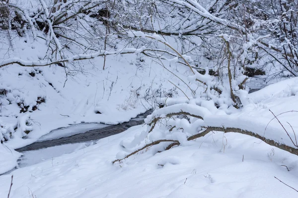 Rivière forestière en hiver — Photo