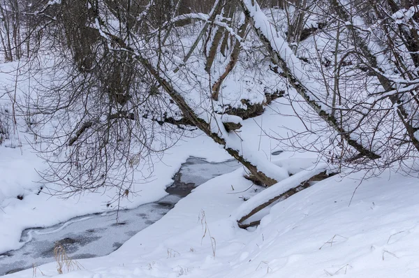 Rivière forestière en hiver — Photo