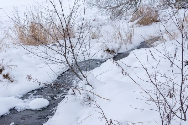 Río del bosque en invierno —  Fotos de Stock