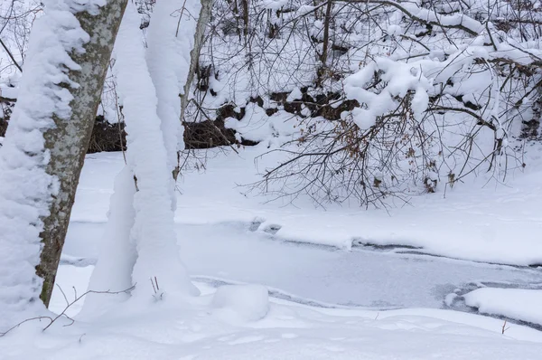 Rivière forestière en hiver — Photo