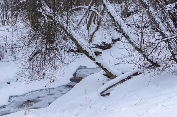 Río del bosque en invierno — Foto de Stock