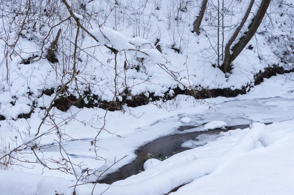 Rivière forestière en hiver — Photo