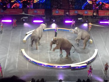 Ringling Kardeşler Sirki Miami 