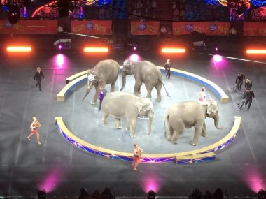 Ringling Kardeşler Sirki Miami 