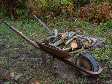 Kesik kütüklerle dolu eski metal el arabası çimenli zeminde duruyor.