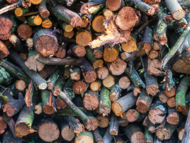 Pile of rustic, rough-cut logs and branches for heating or fuel