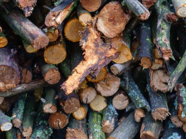Pile of rustic, rough-cut logs and branches for heating or fuel