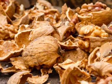 Bol taze ceviz, çatlamış, sağlıklı yenebilir çekirdekler ve sert kabuklar sergileniyor..