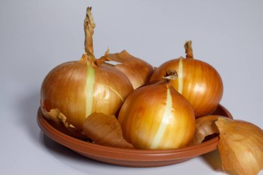 Seramik tabakta bir grup organik altın soğan. Üst görünüm yakın plan.