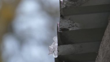 Eriyen buzun ve erimiş metal bir çatının üzerindeki karın statik yakın plan çekimi. Su damlaları bulanık arka plana hızla düşer. Doğal gün ışığı, sığ alan derinliği. Bahar buzları, küresel ısınma veya değişen mevsimler için mükemmel bir tema.