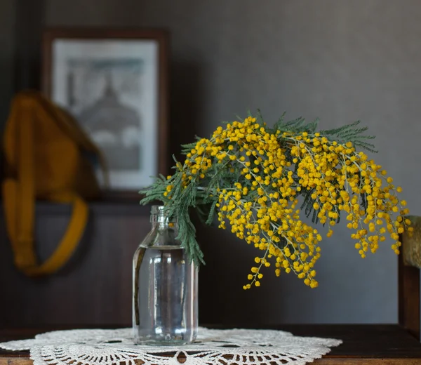 Весенний жёлтый — стоковое фото