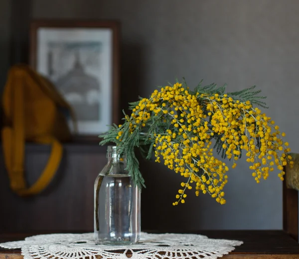 Primavera fiore giallo — Foto Stock