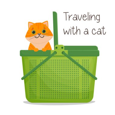 A ginger cat peeps out of the carrier. Plastic carry bag for animals. Traveling with pets, visiting a veterinarian. Vector illustration isolated on white background. vector A ginger cat peeps out of the carrier. Plastic carry bag for animals. Traveling with pets, visiting a veterinarian. Vector illustration isolated on white background. vector