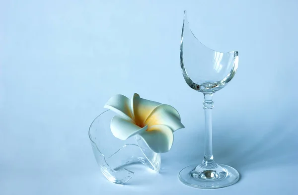 Broken glass flower and shards on light gray background, selective focus