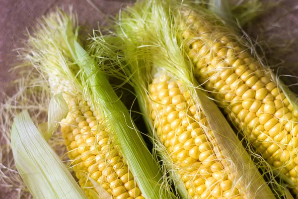 Oreille Maïs Avec Feuilles Gros Plan Légumes Saison Savoureux Sains — Photo